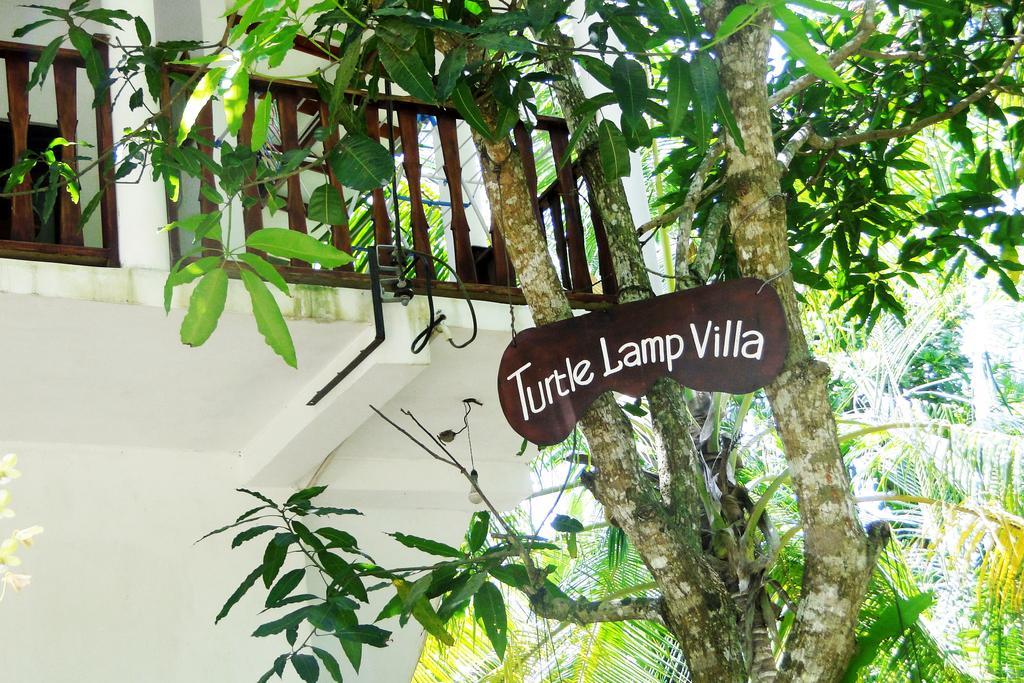 ホテル Turtle Lamp ウナワトゥナ エクステリア 写真